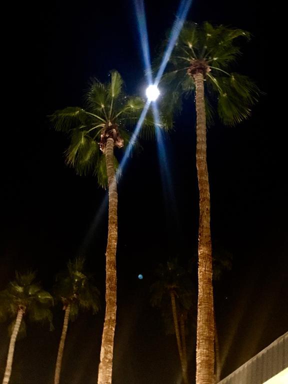 Delos Reyes Palm Springs Kültér fotó